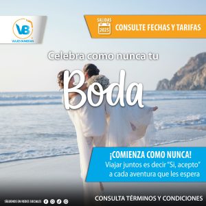 Servicios 455604