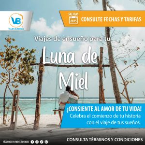 Servicios 498976