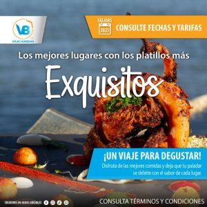 Servicios 522850