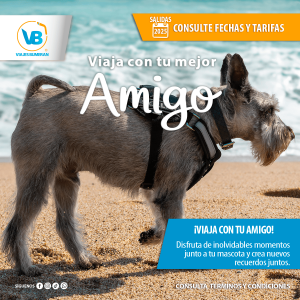 Servicios 891452
